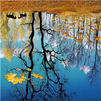 绿野仙踪人间仙境 唯美意境风景头像头像图片