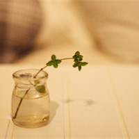 让时间忽略这一切 开花的青春超唯美头像头像图片