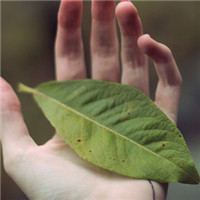 一个人微笑行走 唯美的LOMO治愈系头像头像图片