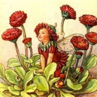 深藏人心的美好传说 一群披着蝴蝶翅膀的小小花仙子头像头像图片