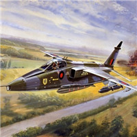 赶快驾驶自己的战机 尽情展开壮阔的冒险吧头像图片