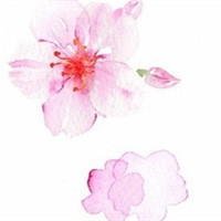 遇见你是我一世的春暖花开 如诗如画头像图片