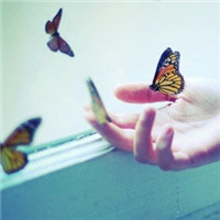 送上蝴蝶一只只 环绕着她轻轻起舞头像图片