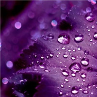 在那回眸的一瞬间 紫色温暖的泛滥头像图片