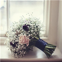 越简简单越美丽 唯美的的小花束头像图片