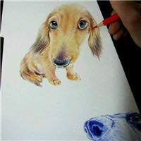 你在我眼里是最美的风景 小动物彩铅头像头像图片