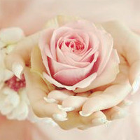 开在手心的花朵 唯美意境头像头像图片