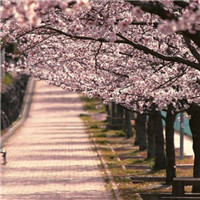 最美的风景其实一直在路上 唯美风景意境头像头像图片