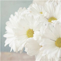 流年等伱的相濡依沫 等伱接受我的爱头像图片