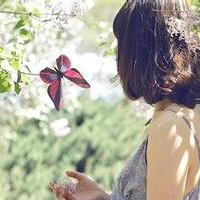 蝴蝶眨几次眼睛才学会飞行 而我要怎样努力才能蜕变头像图片