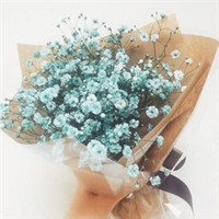 最美的配角 满天星唯美头像头像图片