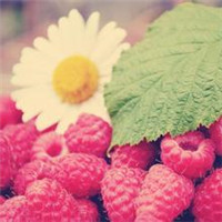 花开半夏 唯美小清新头像图片