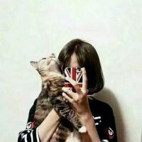 抱猫女生可爱头像精选合辑头像图片