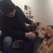 可惜感情从不听话从爱出发却通往复杂