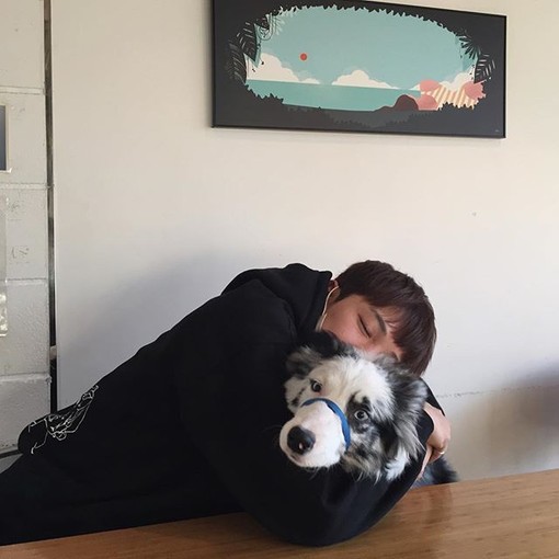 你如果能够听清楚我半开玩笑的七分真话头像图片