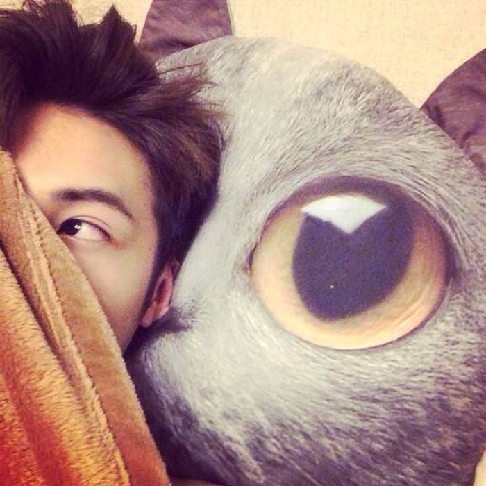 再也找不到了头像图片