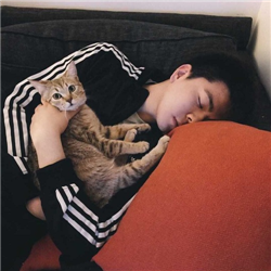 你们相爱 并且默契头像图片