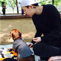 当我了解你只活在记忆里头头像图片