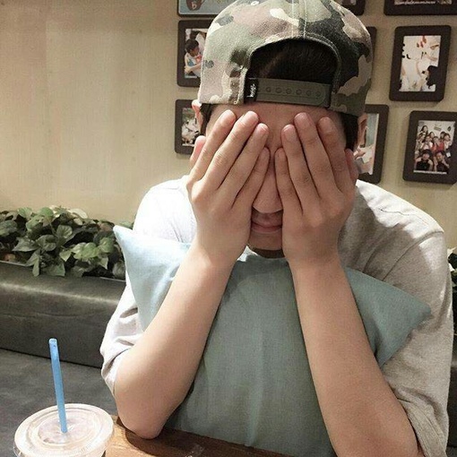 蚊子的孤独头像图片