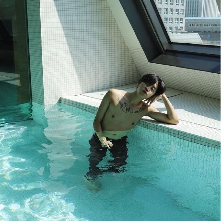 宋美龄喜欢法国梧桐 那年 蒋介石就在整个南京城种满了法国梧桐头像图片