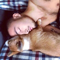 后来再碰到喜欢的人也笑着摇头说算了头像图片