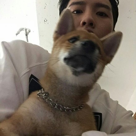 一九九三年头像图片