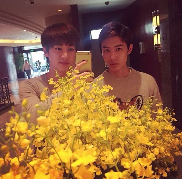 我遇到了所有的不平凡却一直再遇不到平凡的你头像图片