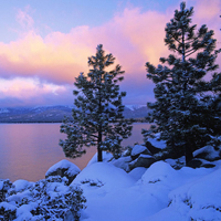 纯白雪景的头像：下起雪景色，更出另一种好景象头像图片