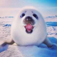 QQ搞笑头像泪再多挽回不了什么头像图片