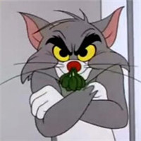 QQ搞笑头像暖暖阳光懒懒爬进窗头像图片