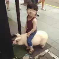 太好笑了QQ头像头像图片