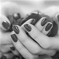 黑白手捧玫瑰花的妹子qq头像头像图片