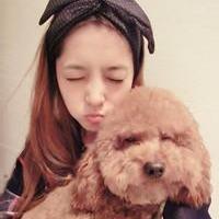 白富美与狗狗的情爱头像图片