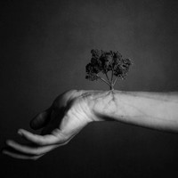 怪异重口味黑白头像图片