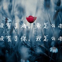 充满感情的一句话头像图片