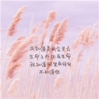 为我唱一首“奇妙能力歌”头像图片