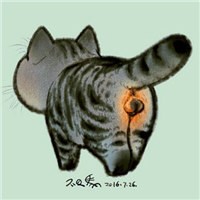 猫蛋蛋头像图片