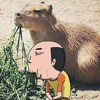 二次元世界头像图片