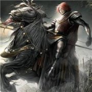 骁勇的骑士