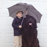 男孩与狗 搞笑头像图片