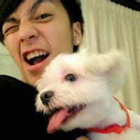 高富帅与狗狗的情爱头像图片