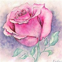 一花一世界头像图片