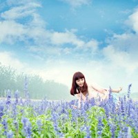 薰衣草花海心情头像图片