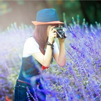 薰衣草里的唯美女孩头像图片