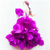 花与人的世界 亦真亦幻头像图片