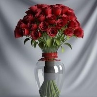 瓶中的红玫瑰头像图片