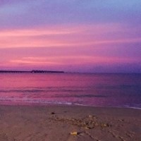 粉色大海头像图片