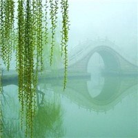 杨柳依依头像图片