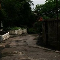 雨水冲刷了尘埃,轻嗅雨意的气息头像图片