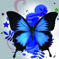 唯美蓝色蝴蝶~~头像图片
